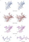 Figure 1—figure supplement 6.