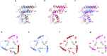 Figure 2—figure supplement 1.