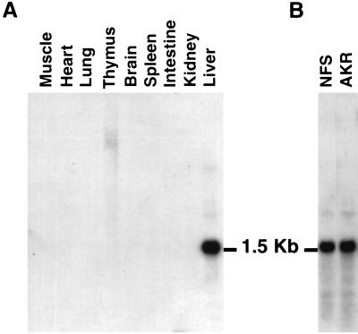 FIG. 5.