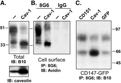 Figure 6.