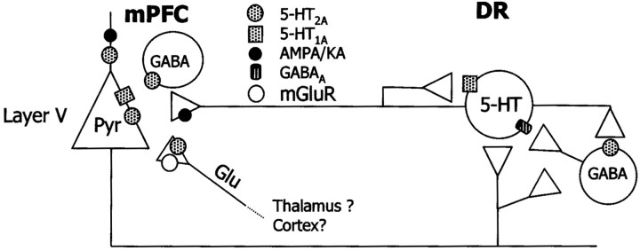 Fig. 11.