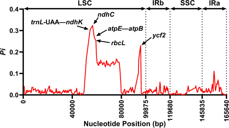 Fig. 6