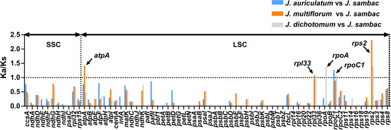 Fig. 7