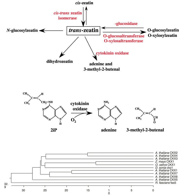 Figure 3.