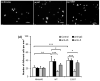 Fig.2