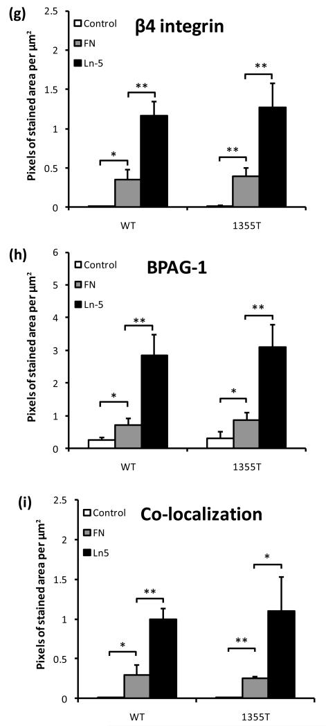 Fig.4