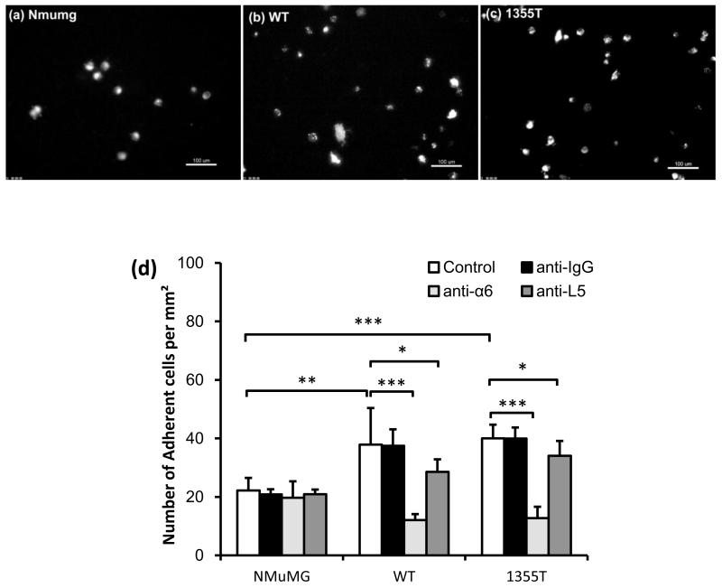 Fig.2