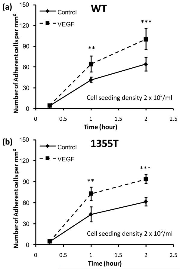 Fig.6