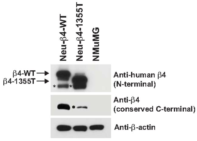 Fig.1