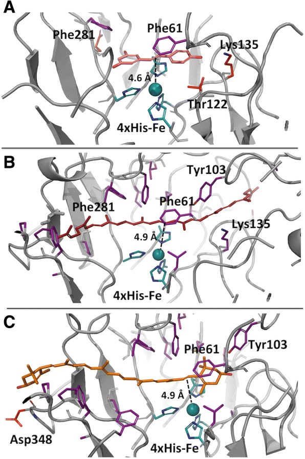 Fig. 7