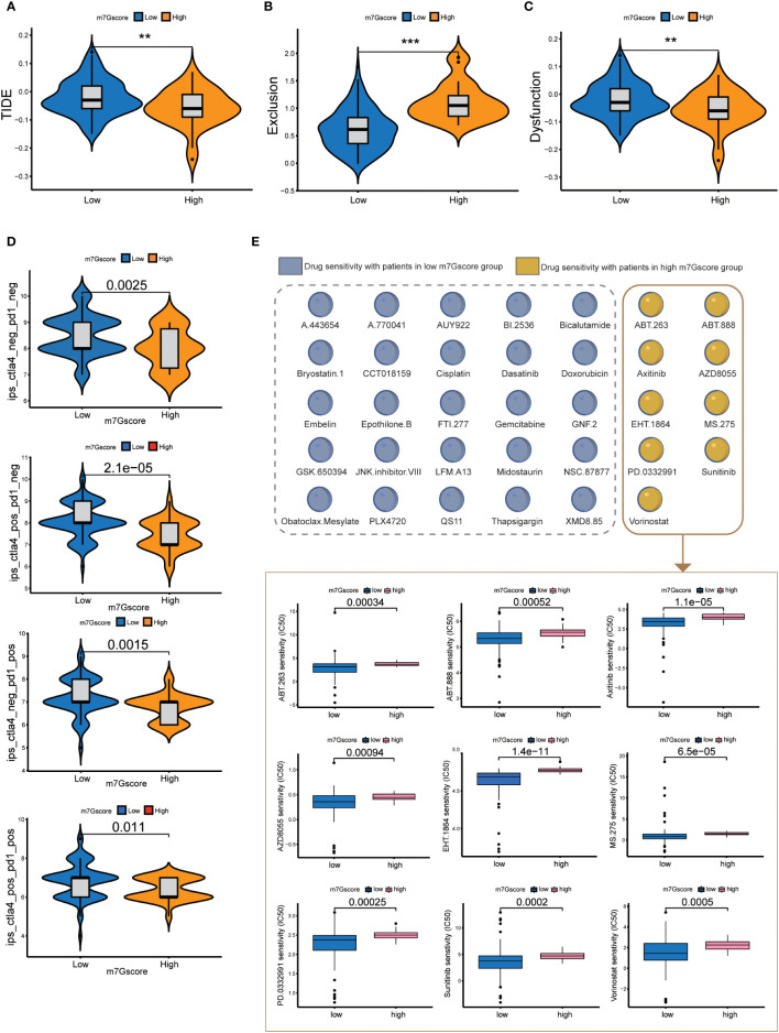 Figure 5