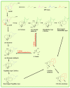 Scheme 2