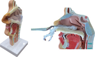 FIGURE 1