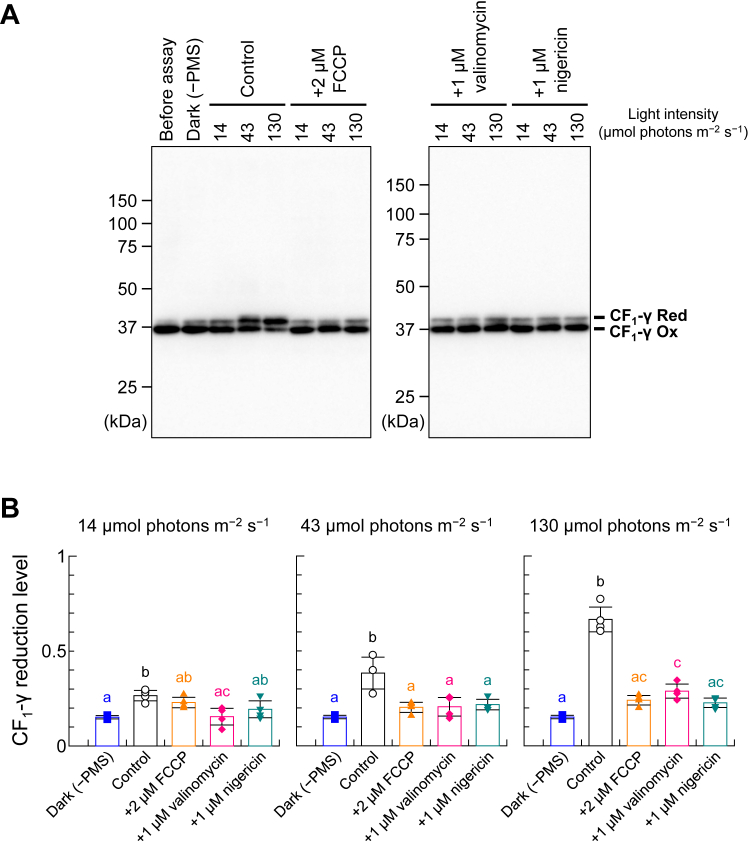 Figure 2