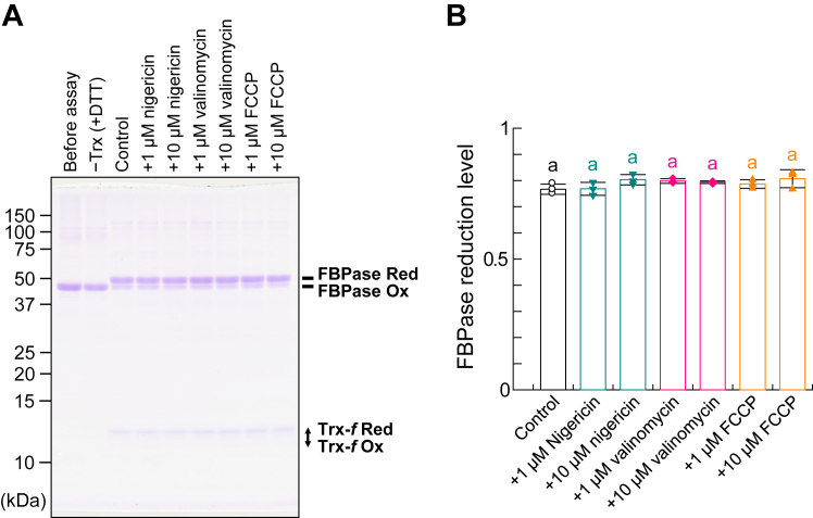 Figure 4