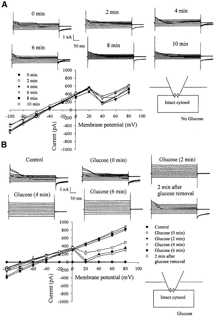 FIG. 1