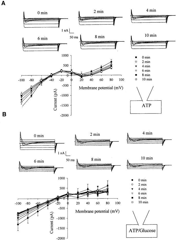 FIG. 4