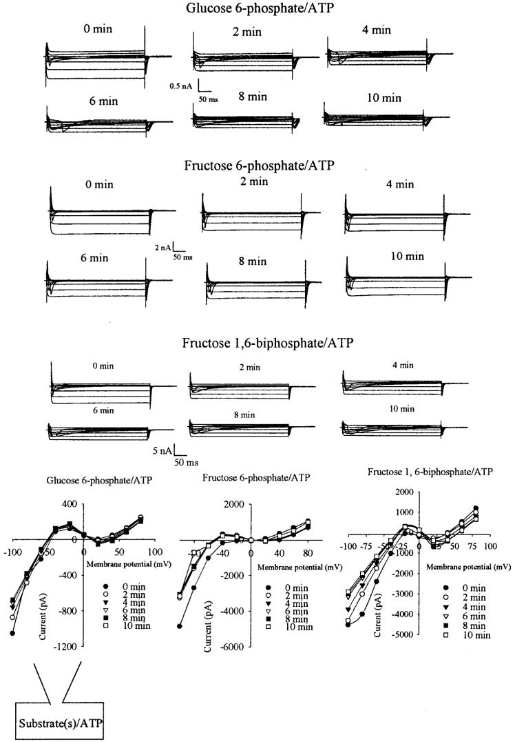 FIG. 5