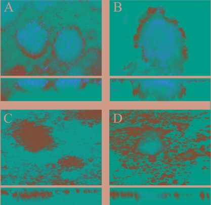 FIG. 5.