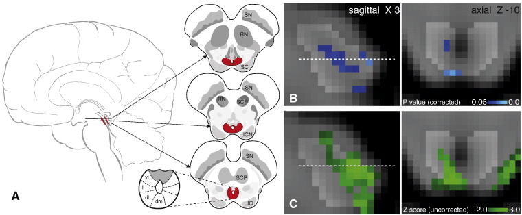 Fig. 3