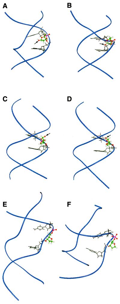 Figure 8