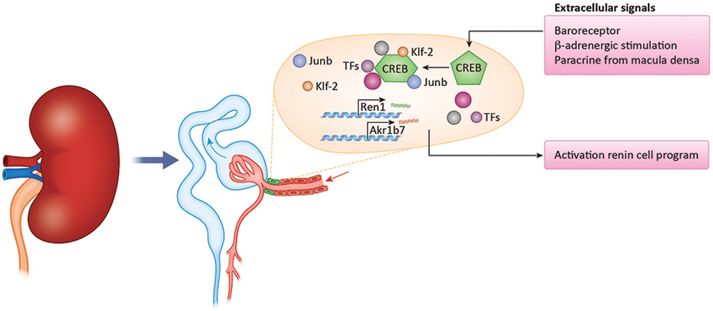 Figure 4: