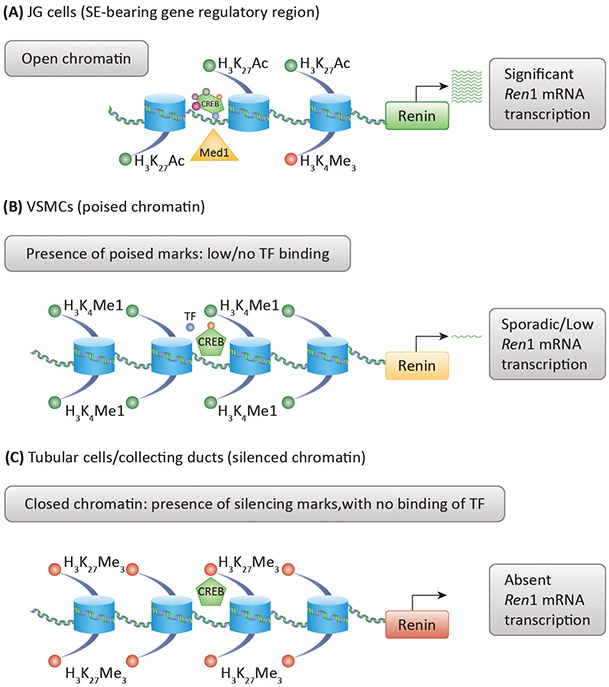 Figure 3: