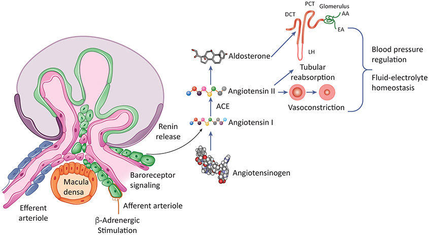 Figure 1: