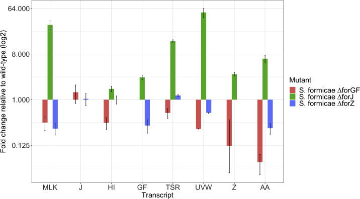 Figure 4