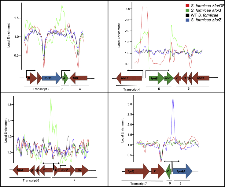 Figure 3