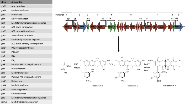 Figure 1