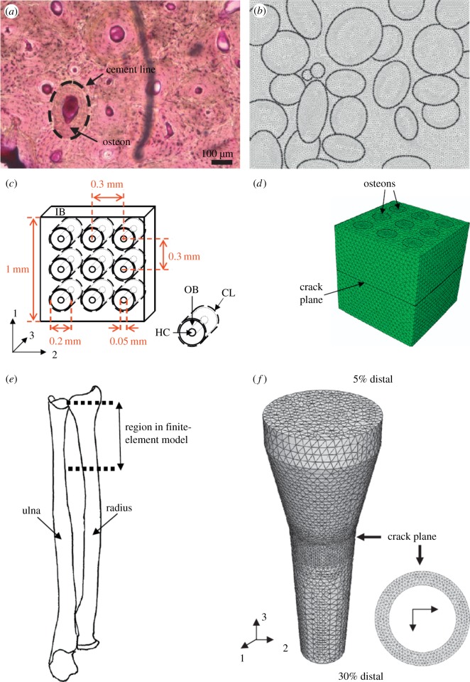 Figure 18.