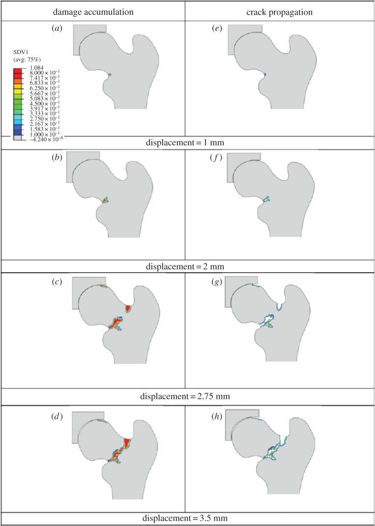 Figure 17.