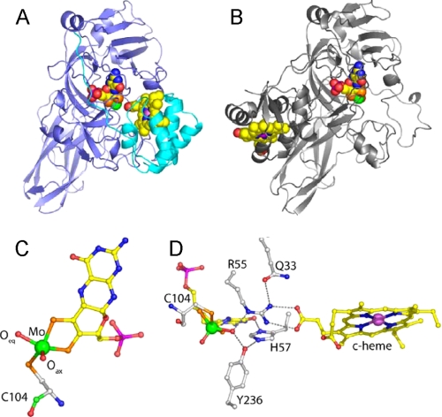 FIGURE 1.