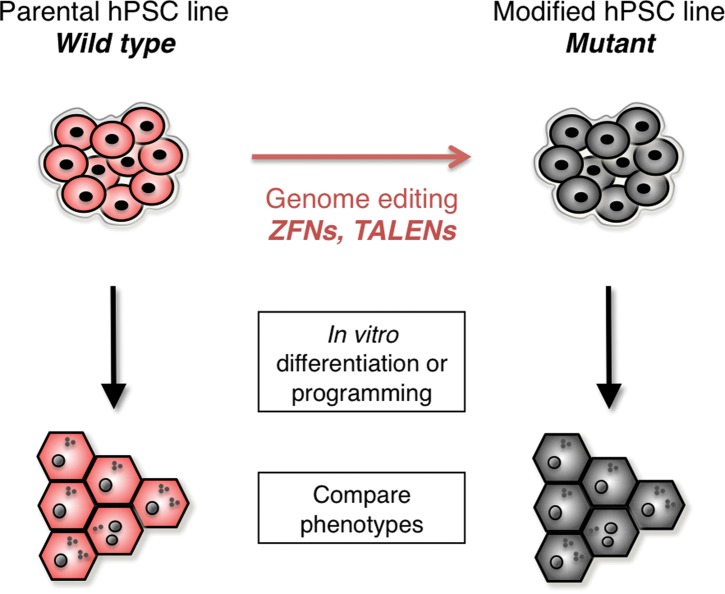 Figure 1.