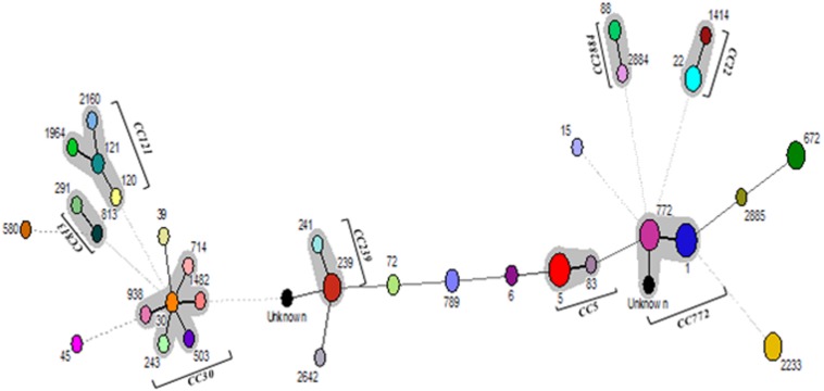 FIGURE 2