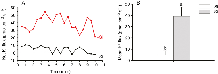 Fig. 5.