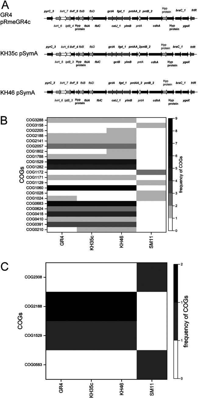 FIG 2