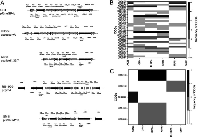 FIG 3