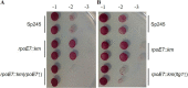 FIG 3