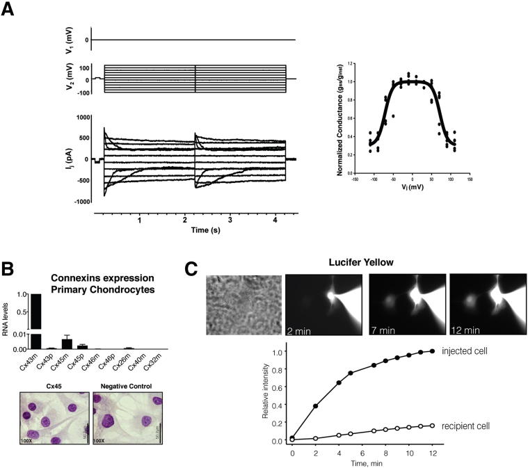 Figure 2