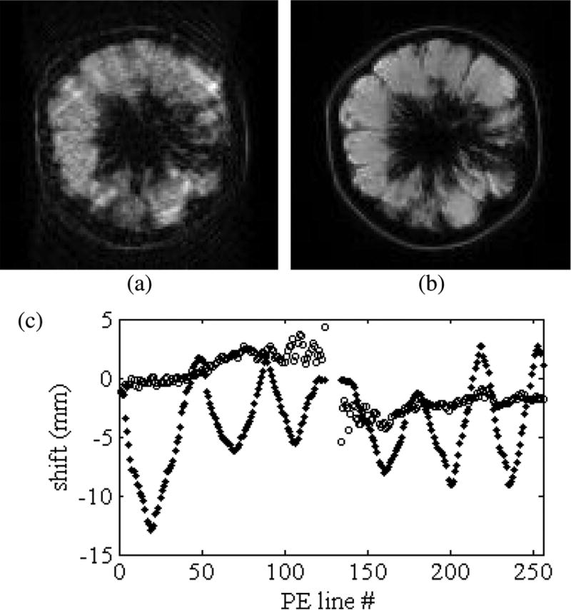 Fig. 10
