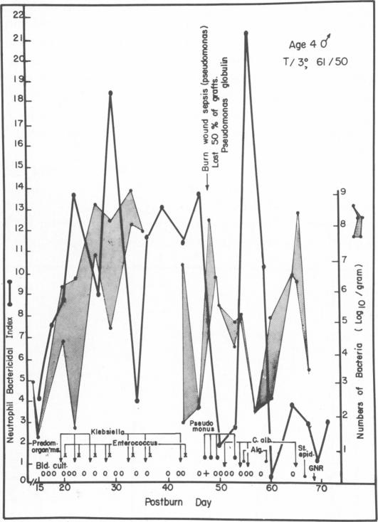 Fig. 10.