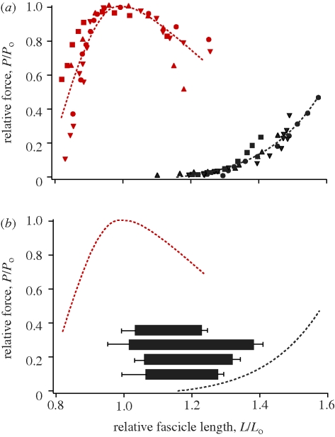 Figure 3.