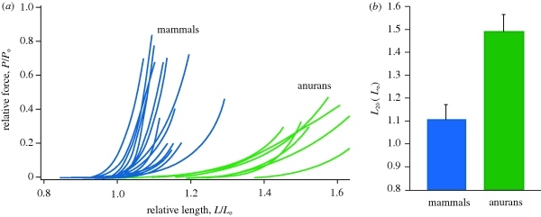 Figure 5.