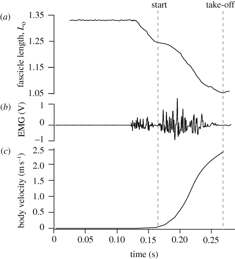 Figure 2.