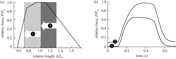 Figure 4.