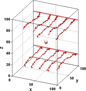 Fig. 2