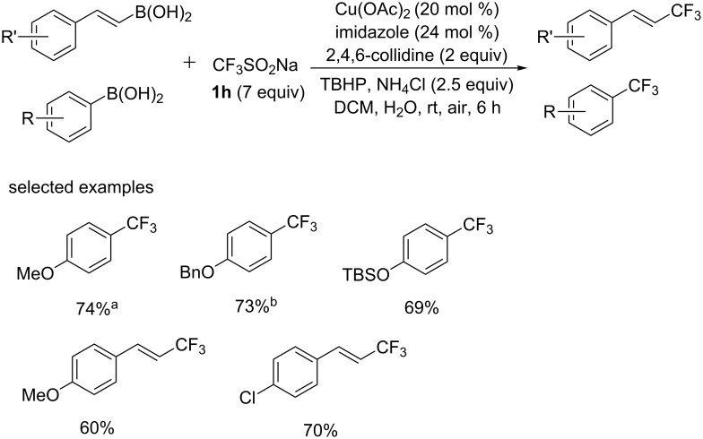 Scheme 23