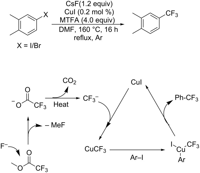 Scheme 6